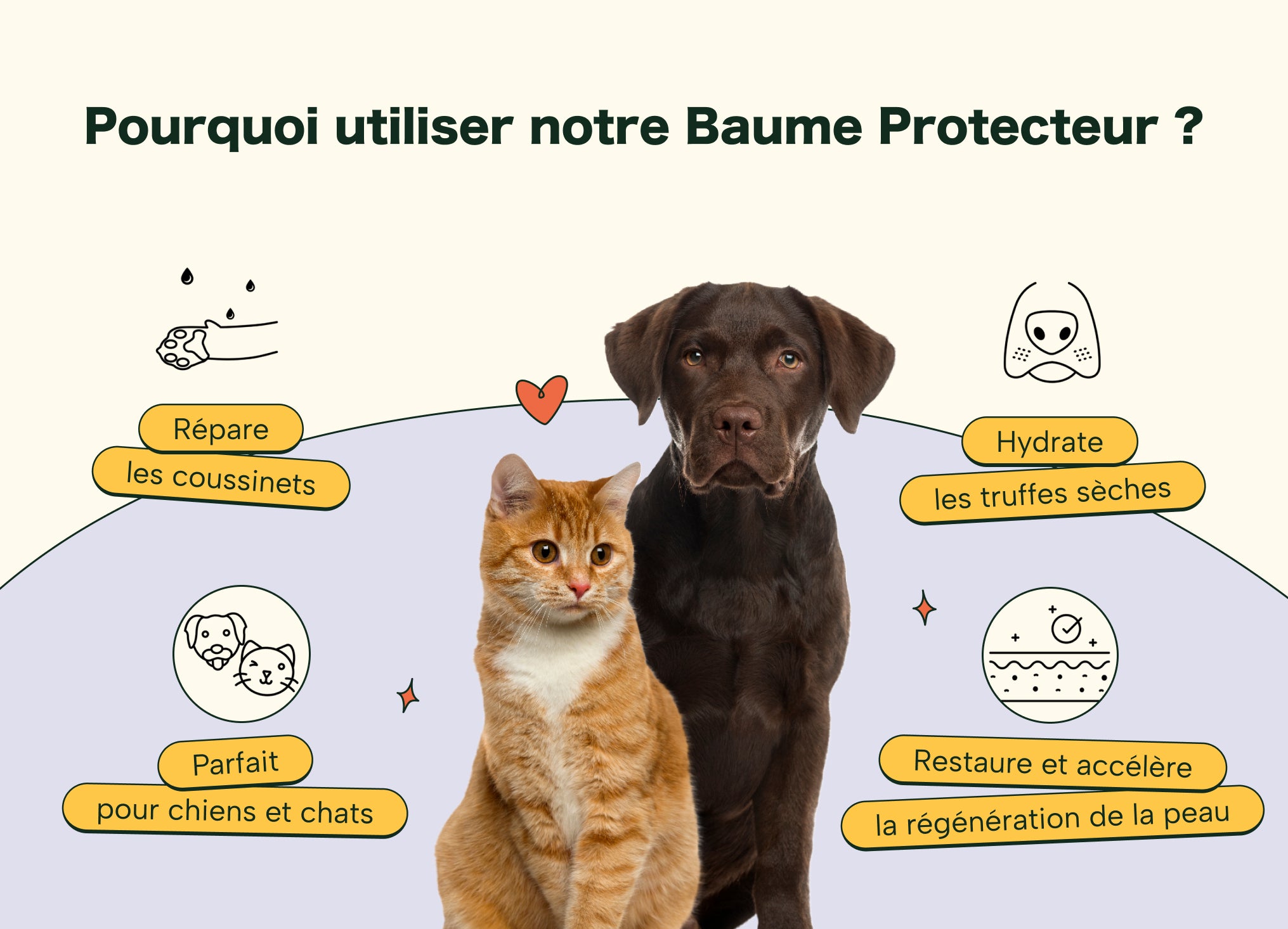 Baume Protecteur et Réparateur