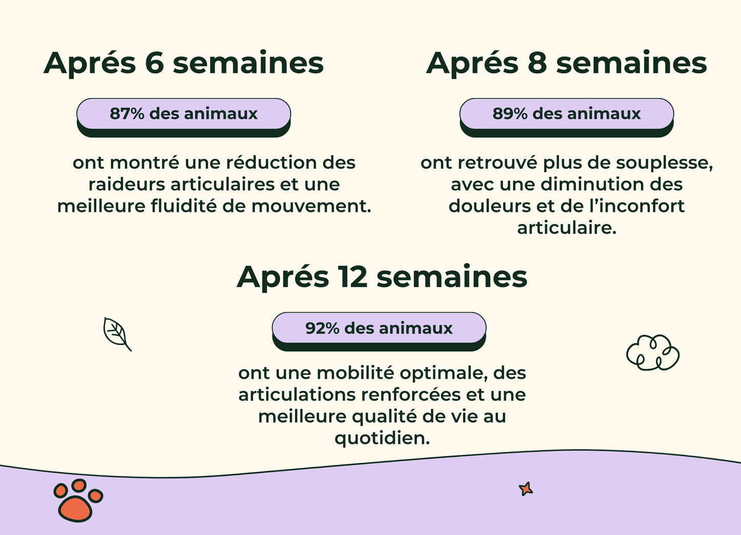 Friandises Naturelles Articulation Chat