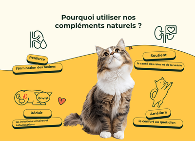 Friandises Naturelles Système Urinaire Chat