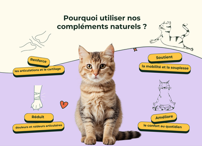 Friandises Naturelles Articulation Chat