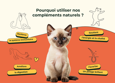 Friandises Naturelles Multivitamii's Chat