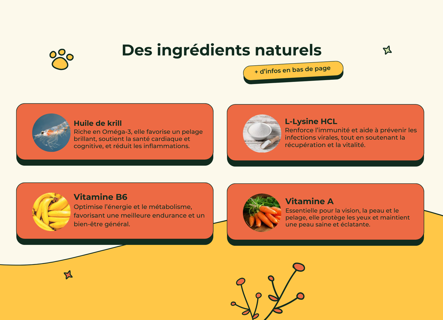 Friandises Naturelles Multivitamii's Chat | Pour une longue vie, pleine de vitalité
