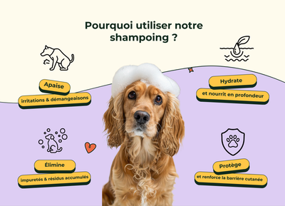 Shampoing réparateur & Anti démangeaisons
