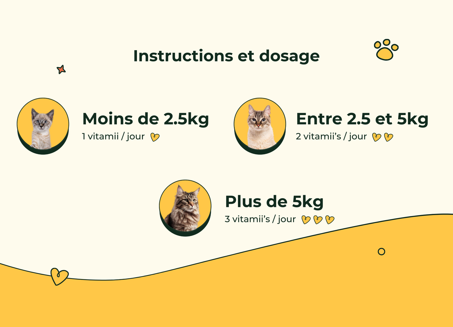 Friandises Naturelles Système Urinaire