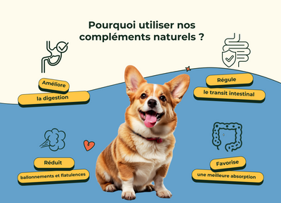 Friandises Naturelles Santé Intestinale