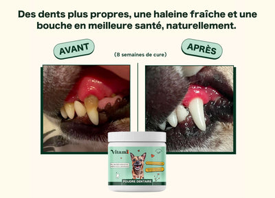 Poudre Dentaire Hygiène, Dents & Haleine