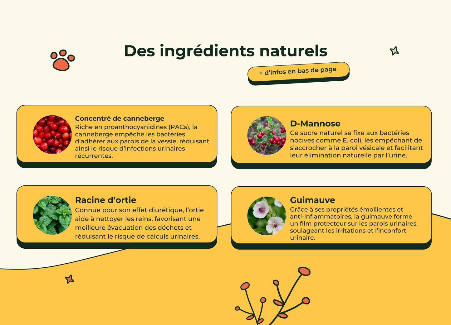 Friandises Naturelles Système Urinaire