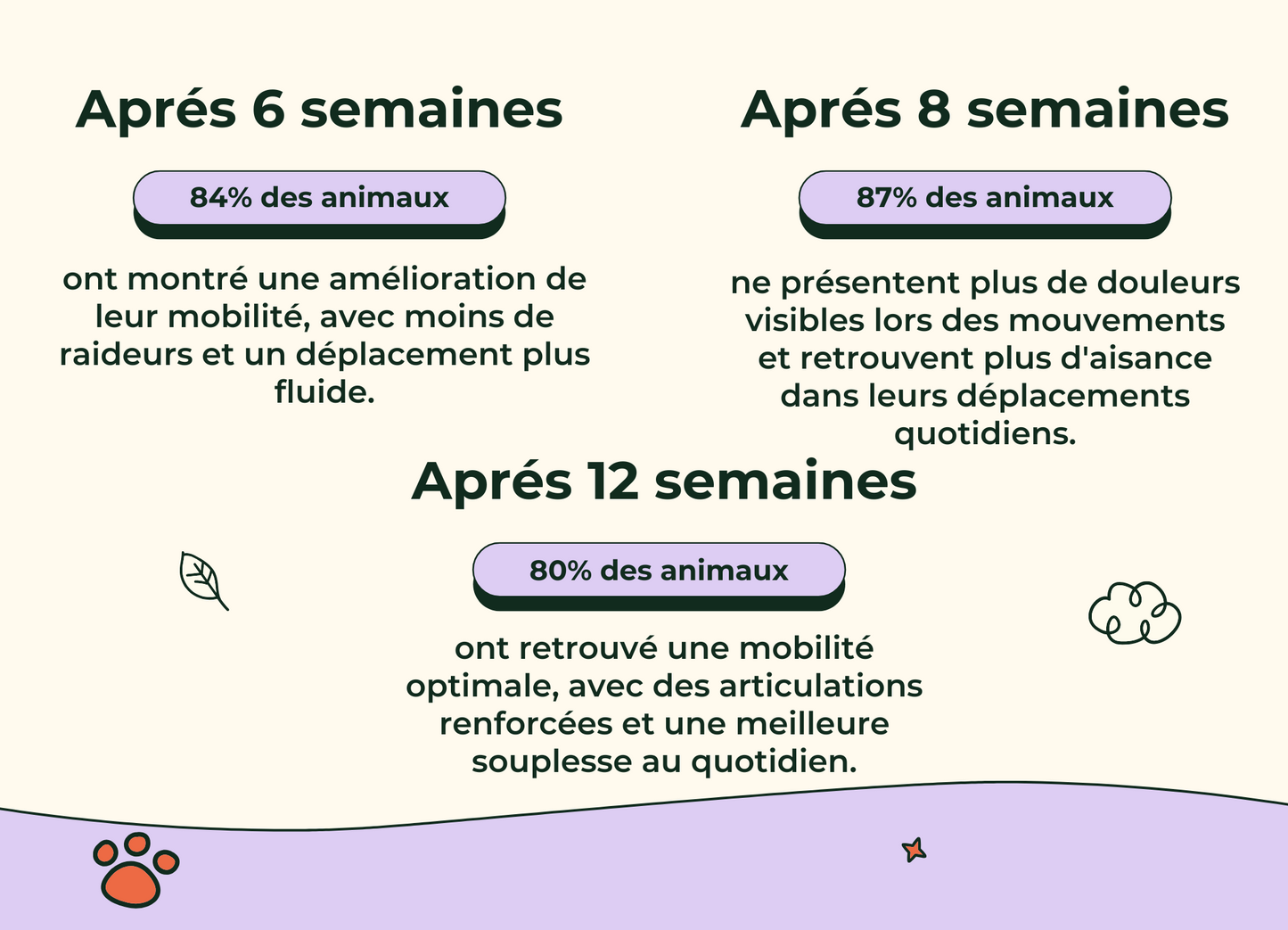Friandises Naturelles Articulations