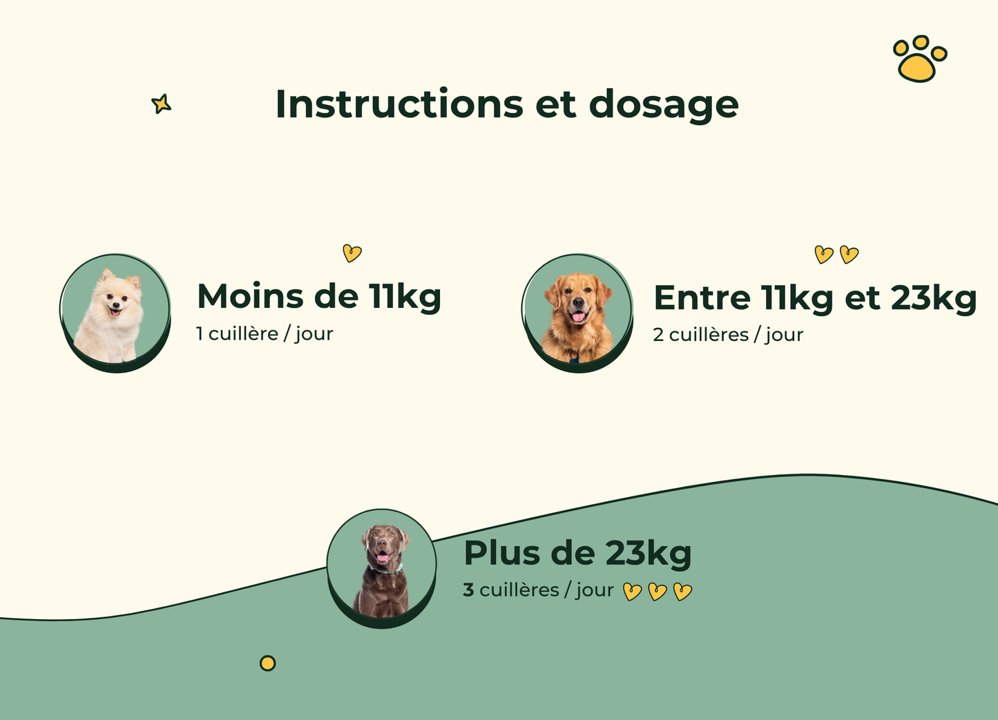 Poudre Dentaire Hygiène, Dents & Haleine