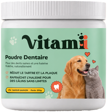Poudre Dentaire
