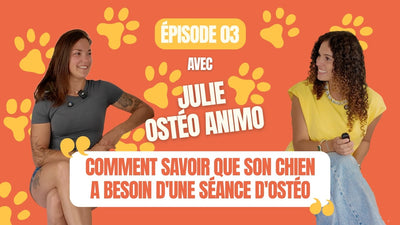 podcast vitamii osteopathie animale chien