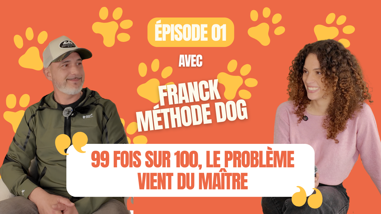 podcast vitamii
