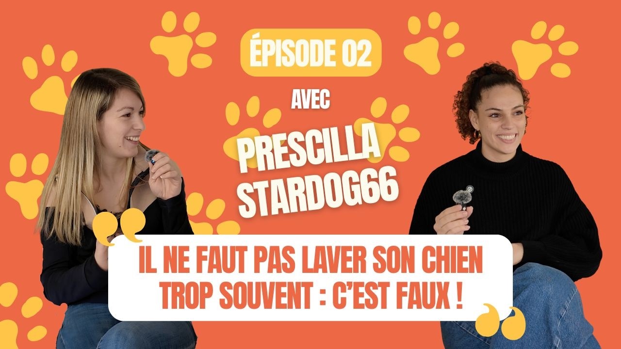 podcast vitamii toilettage chien
