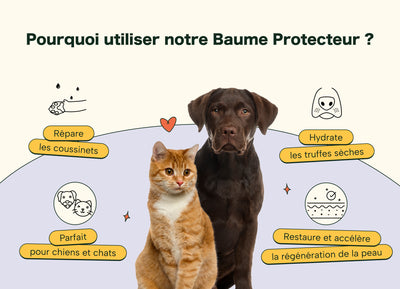 Baume Protecteur et Réparateur