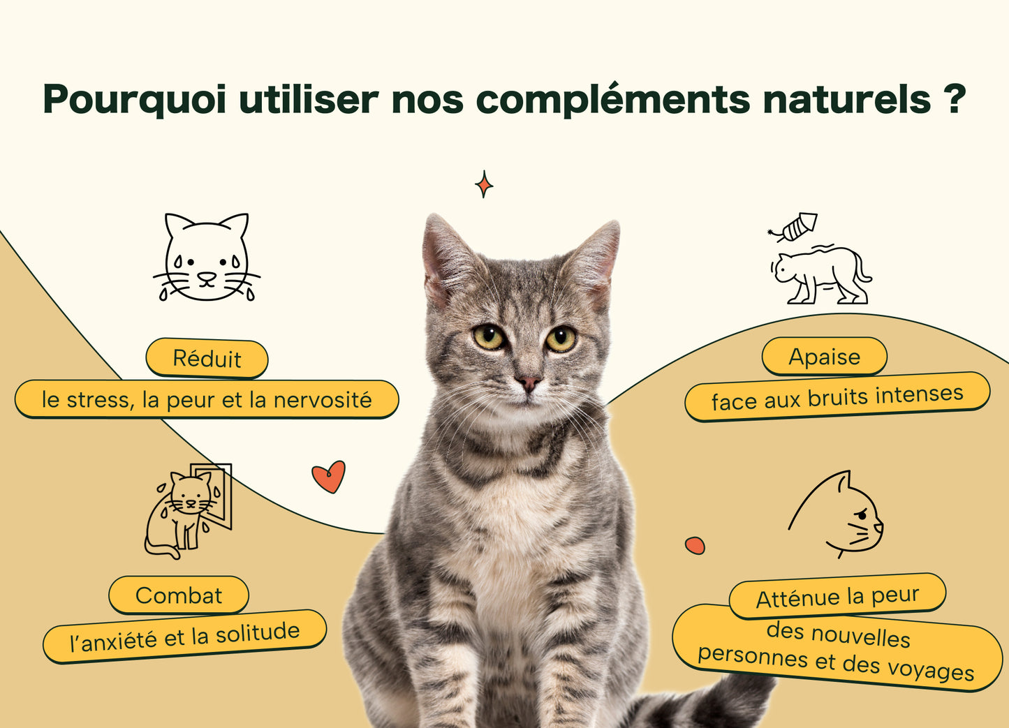 Friandises Naturelles Apaisantes Chat