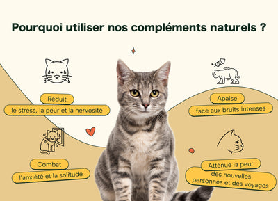 Friandises Naturelles Apaisantes Chat