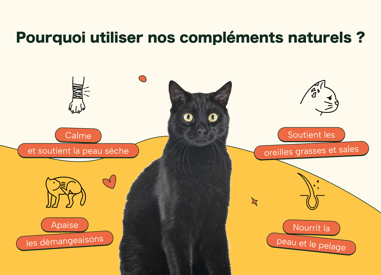 Natural Immunity and Anti-Itch Cat Treats - Scratching, Licking and Biting