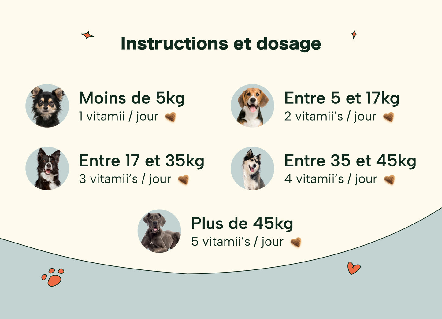 Friandises Naturelles Immunité et Anti-Démangeaisons