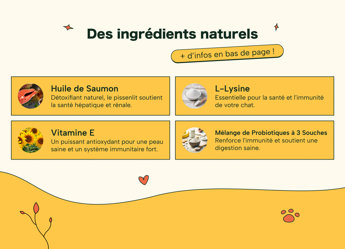 Friandises Naturelles Immunité et Anti-Démangeaisons Chat