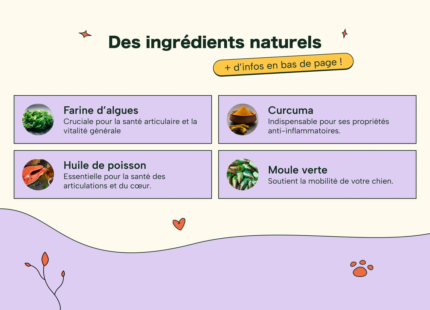 Friandises Naturelles Articulations