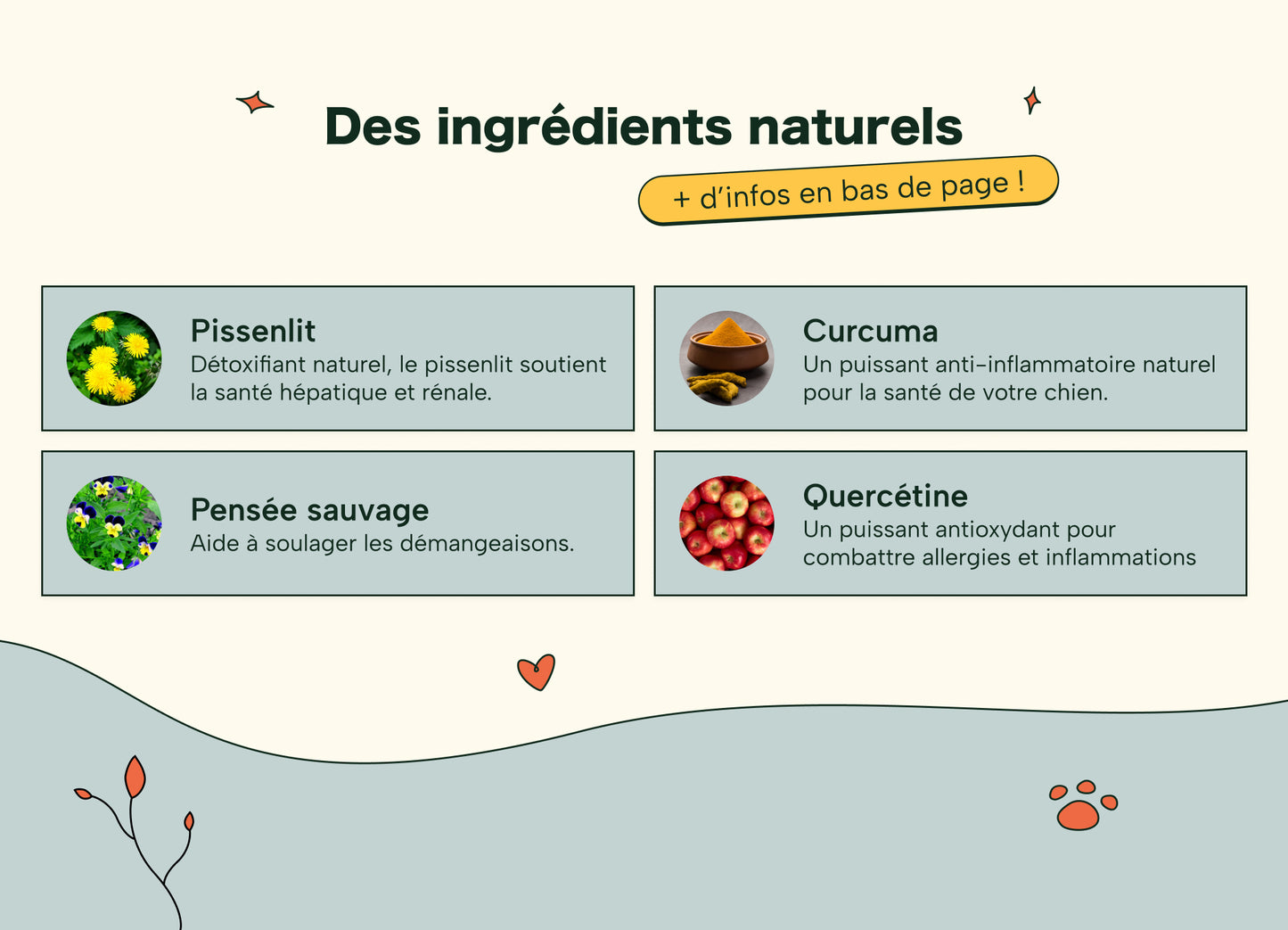 Friandises Naturelles Immunité et Anti-Démangeaisons