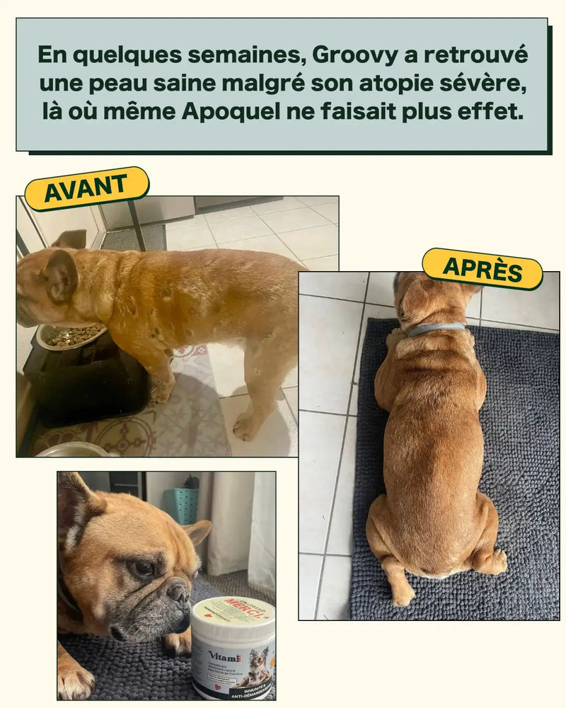 Peau & Démangeaisons