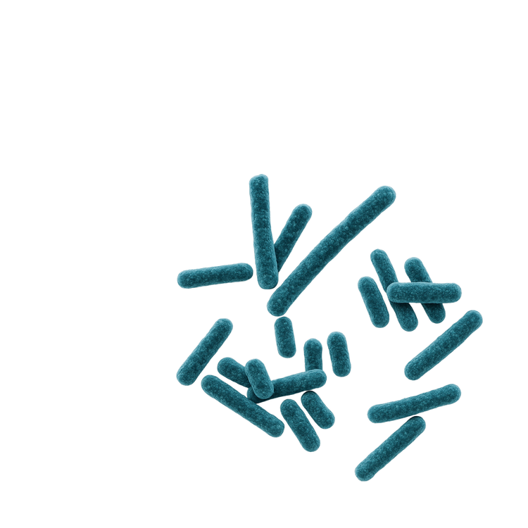 Probiotiques
