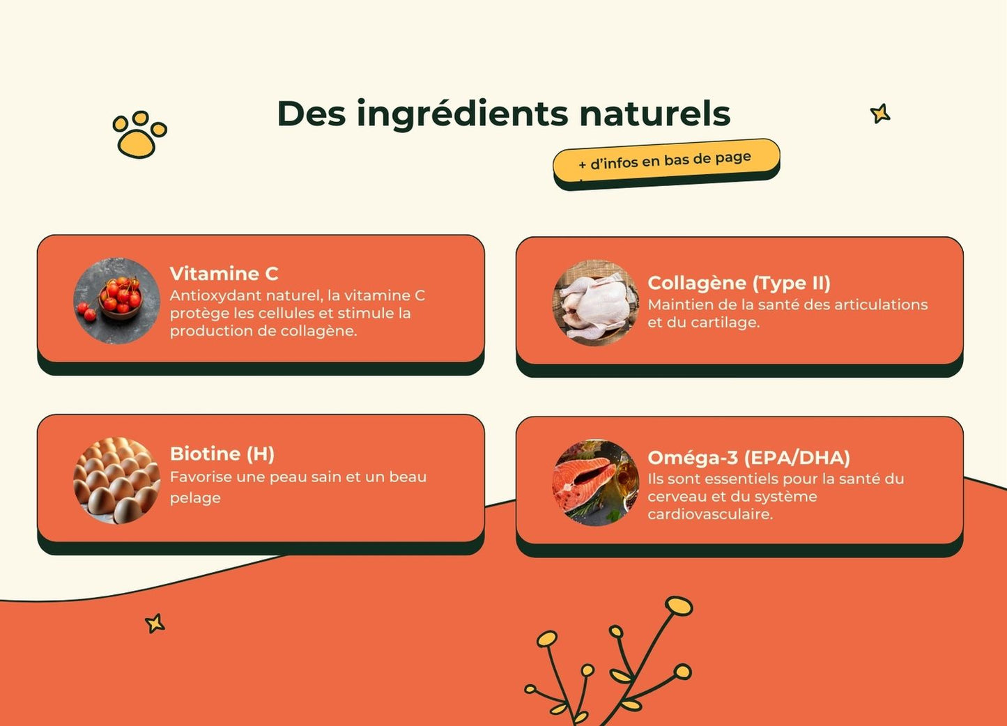 Friandises Naturelles Multivitamii's