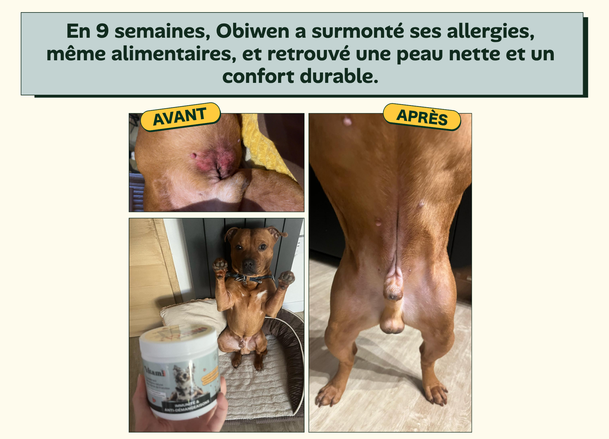 Avant/apres Obiwen - allergies, peau nette