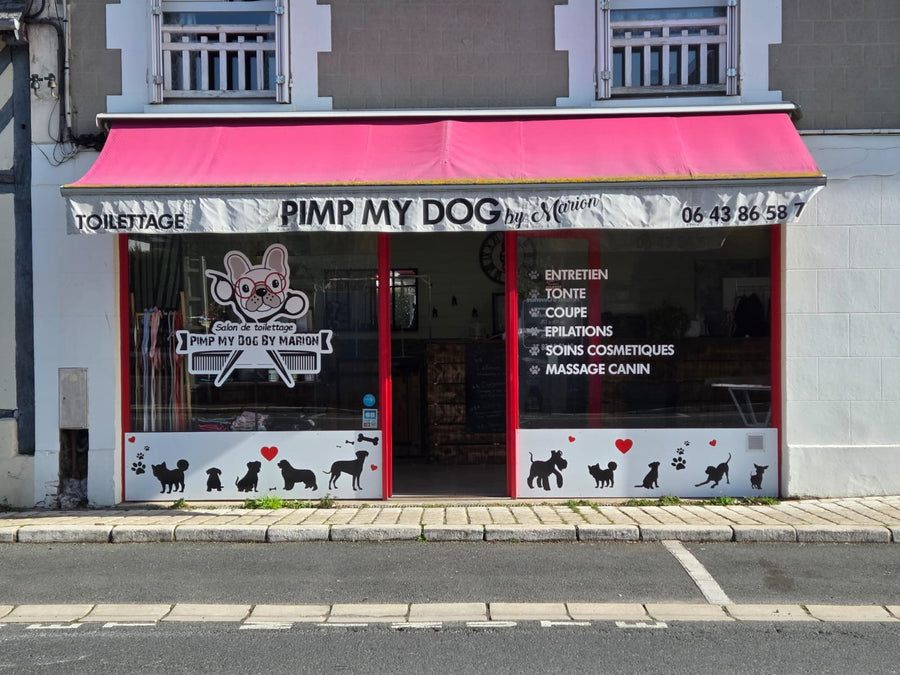 Pimp My Dog by Marion
