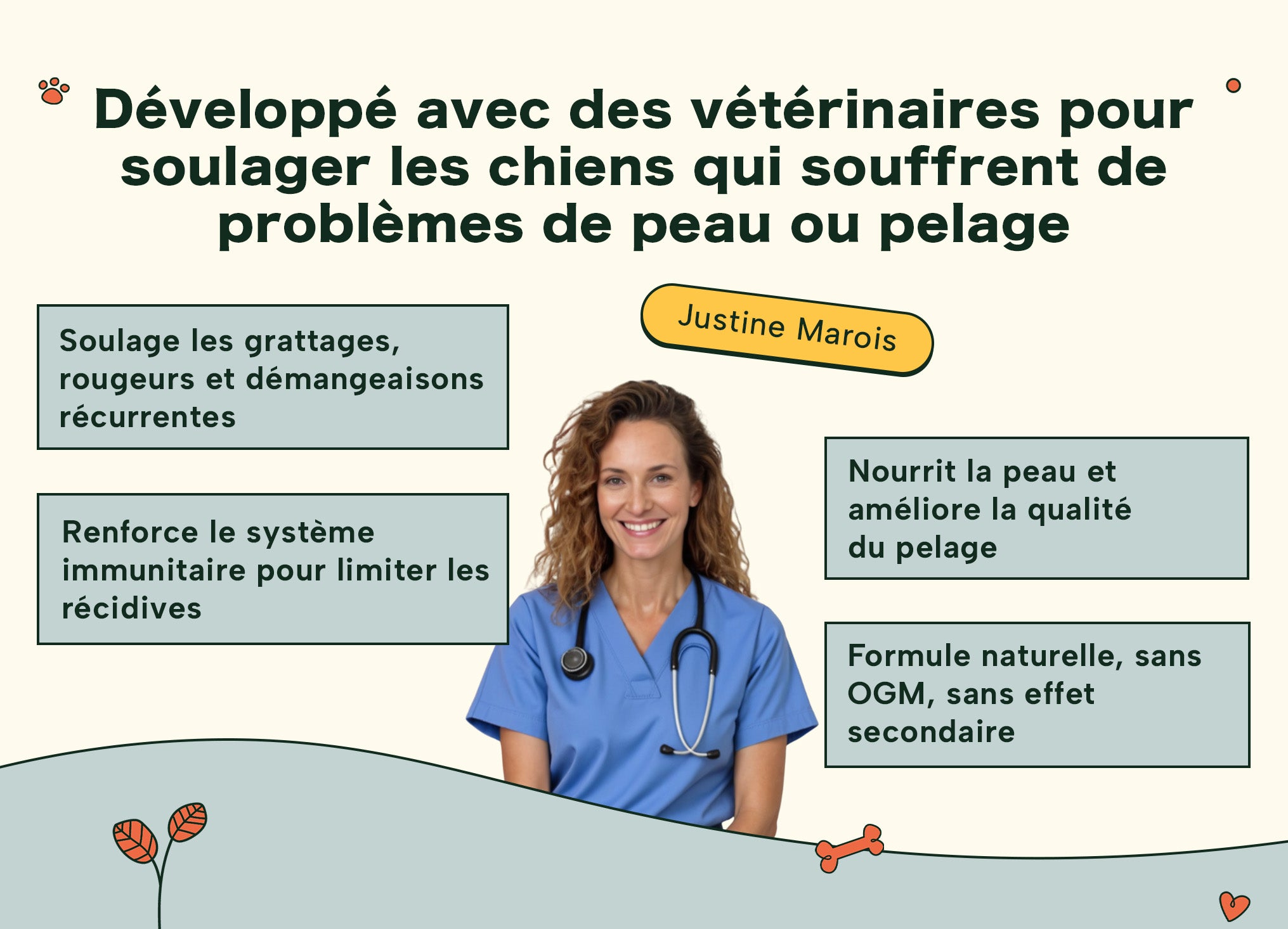 Image du vétérinaire