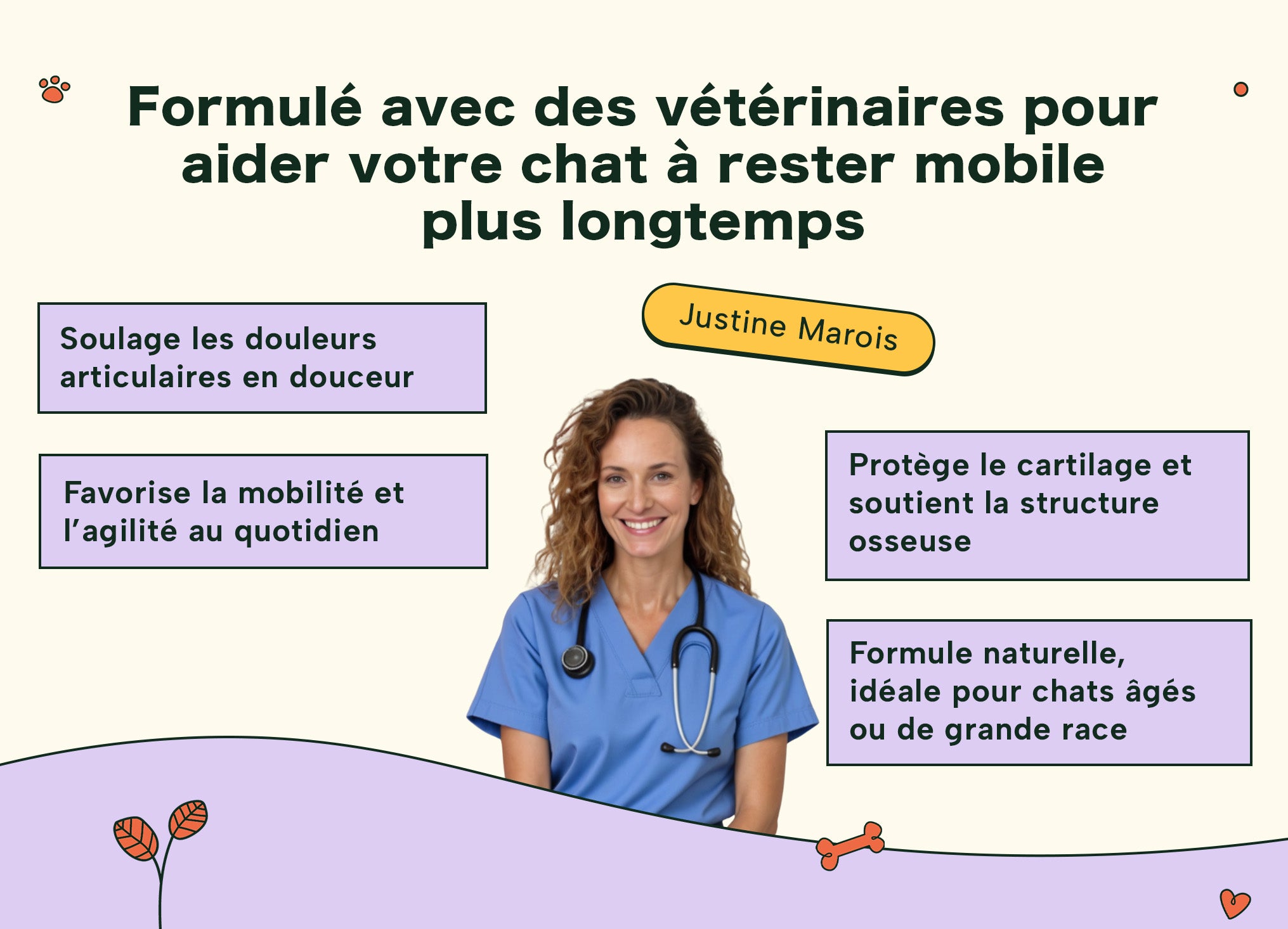 Image du vétérinaire