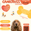 Inscription Canicross Solidaire Vitamii – Course avec votre chien 🐾