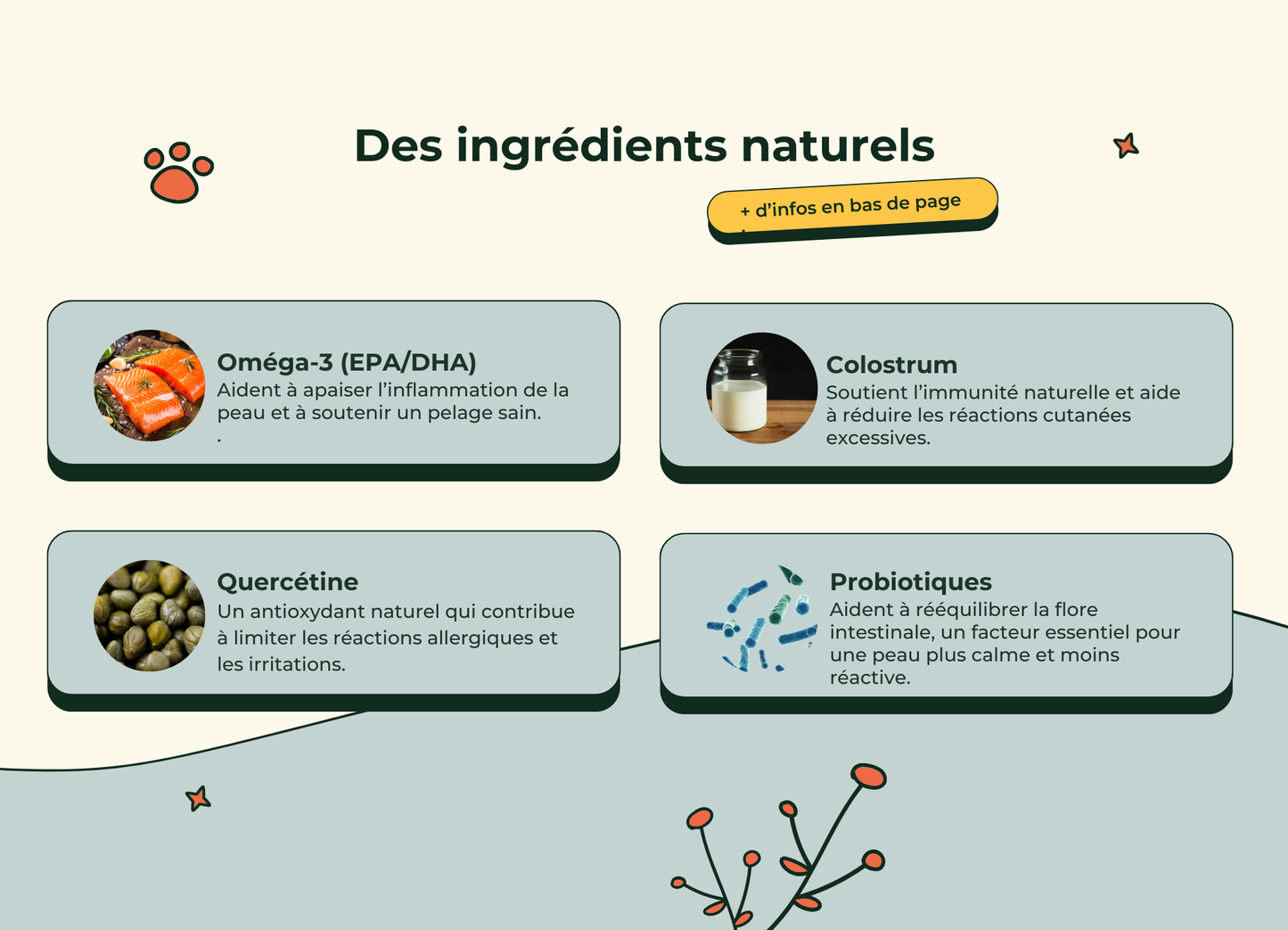 Friandises Naturelles Immunité et Anti-Démangeaisons