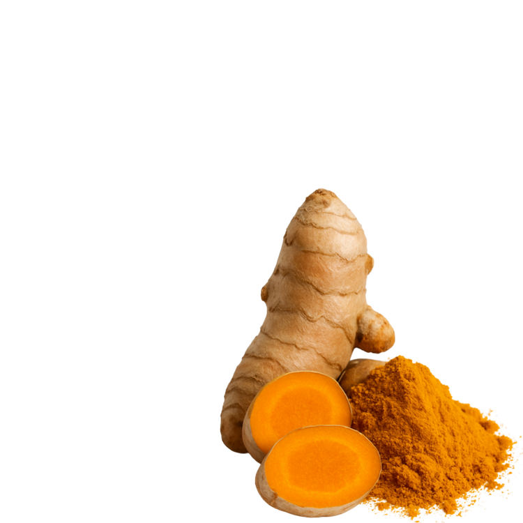 Curcuma