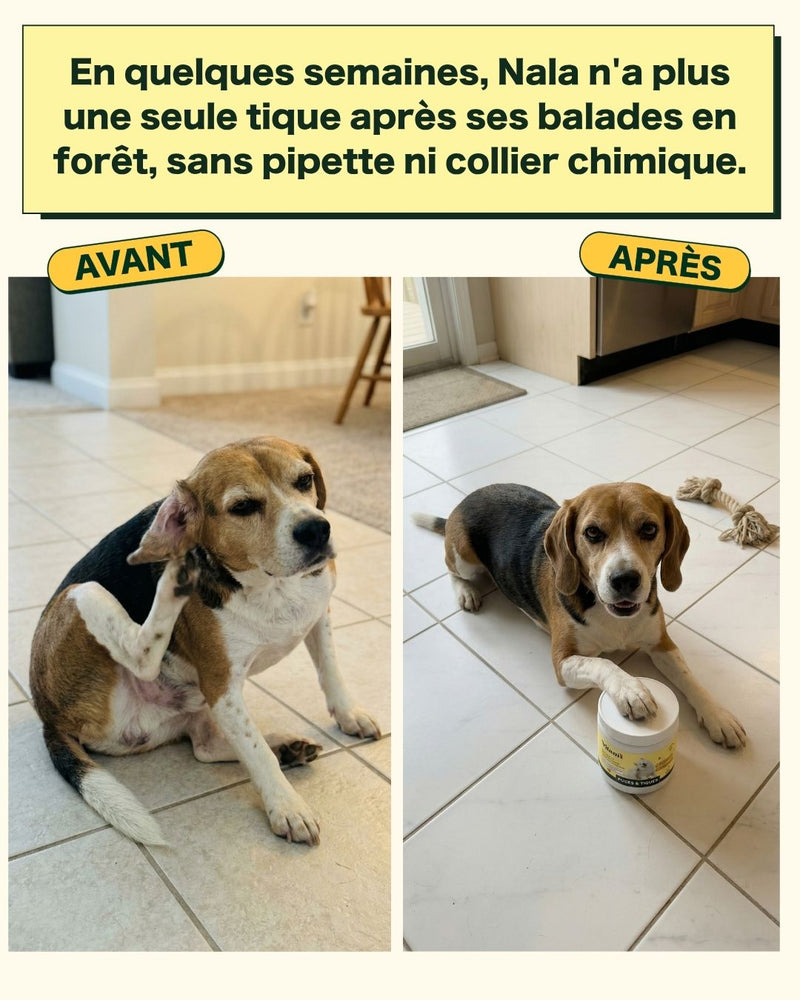 Protection parasitaire