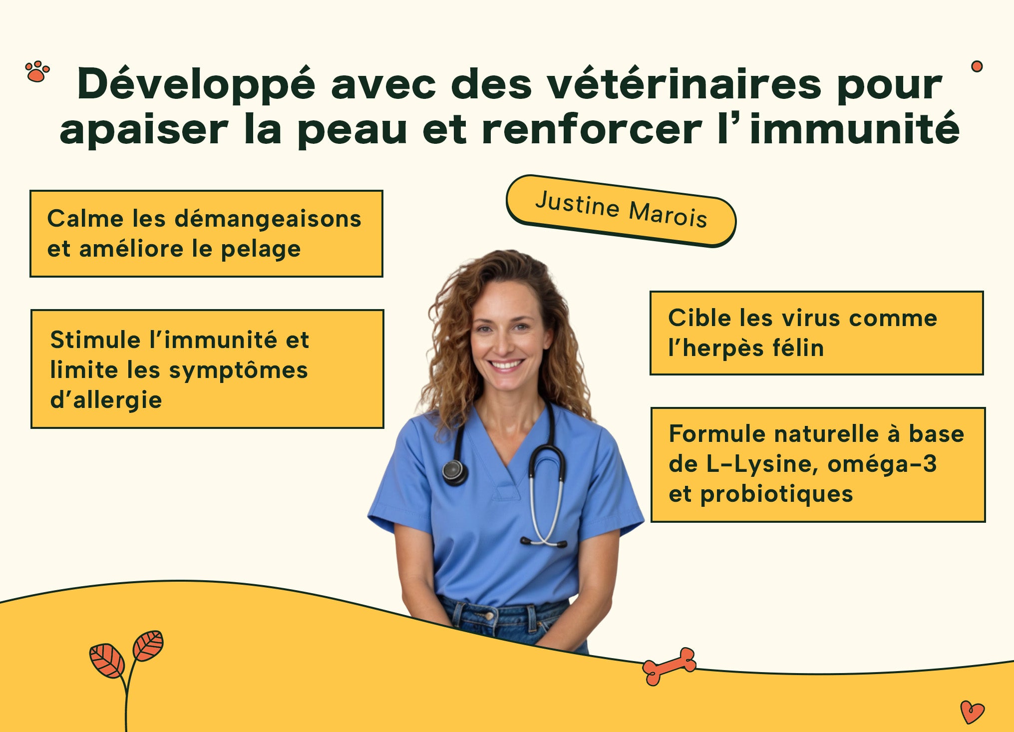 Image du vétérinaire