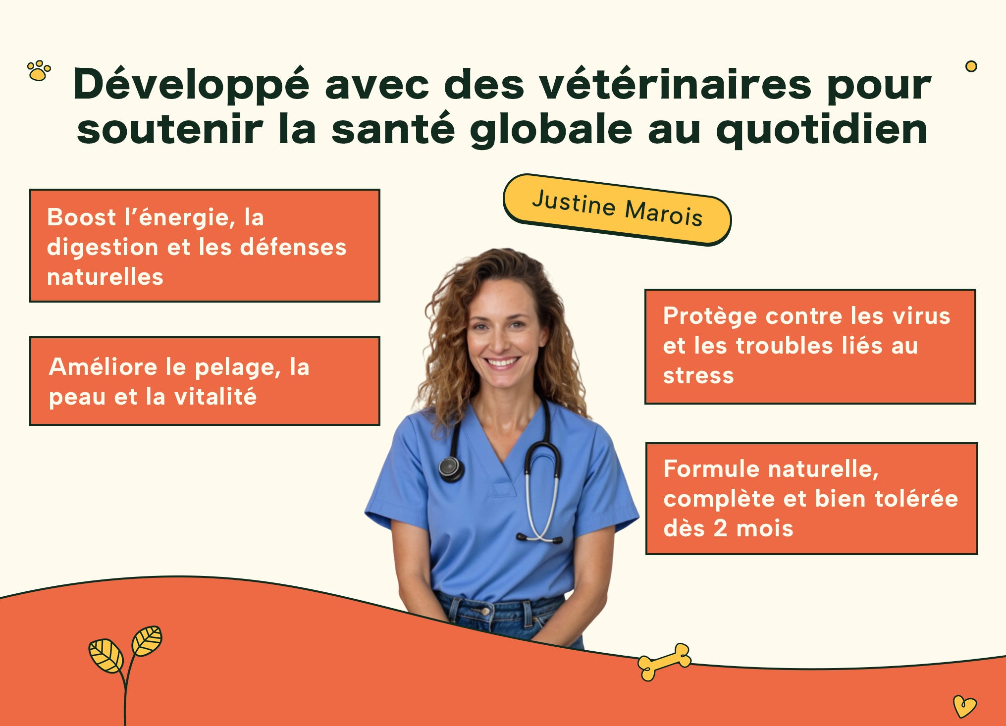 Image du vétérinaire