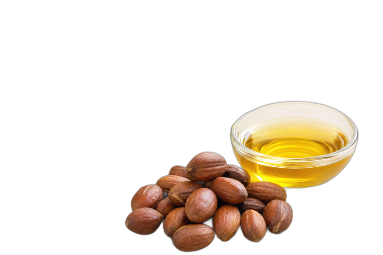 Huile de jojoba bio