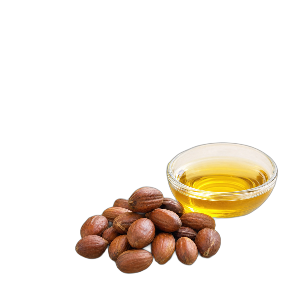 Huile de jojoba bio