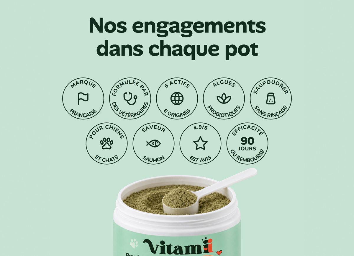 Nos engagements dans chaque pot de Poudre Dentaire Vitamii