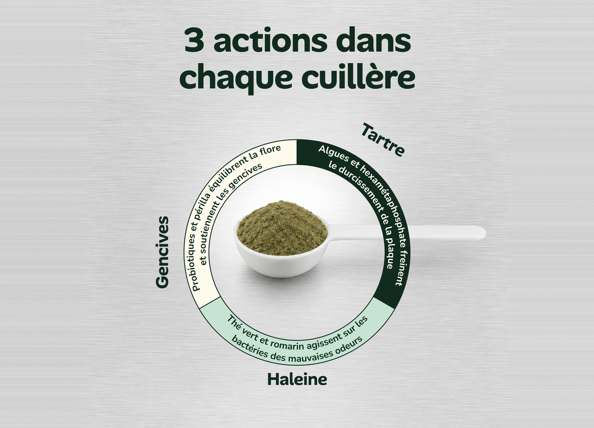 3 actions dans chaque cuillère : tartre, haleine, gencives