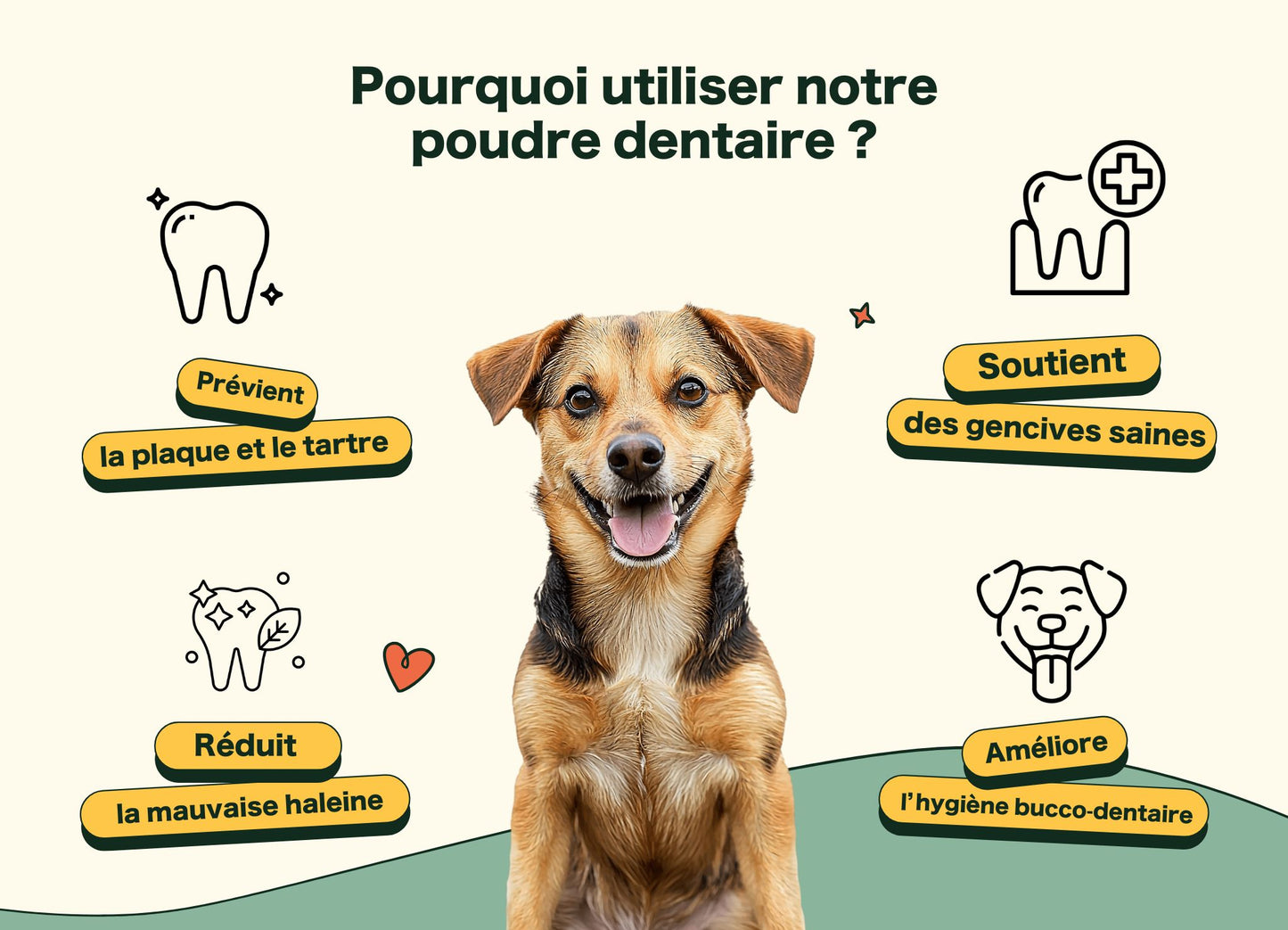 Poudre Dentaire Hygiène, Dents & Haleine