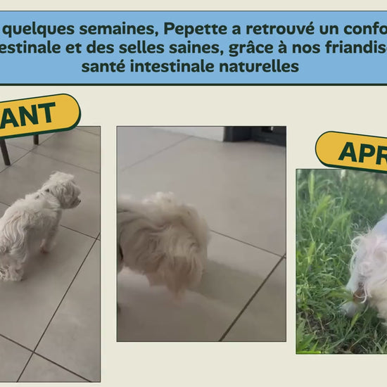Avant/apres Pepette - confort intestinal (sante intestinale)