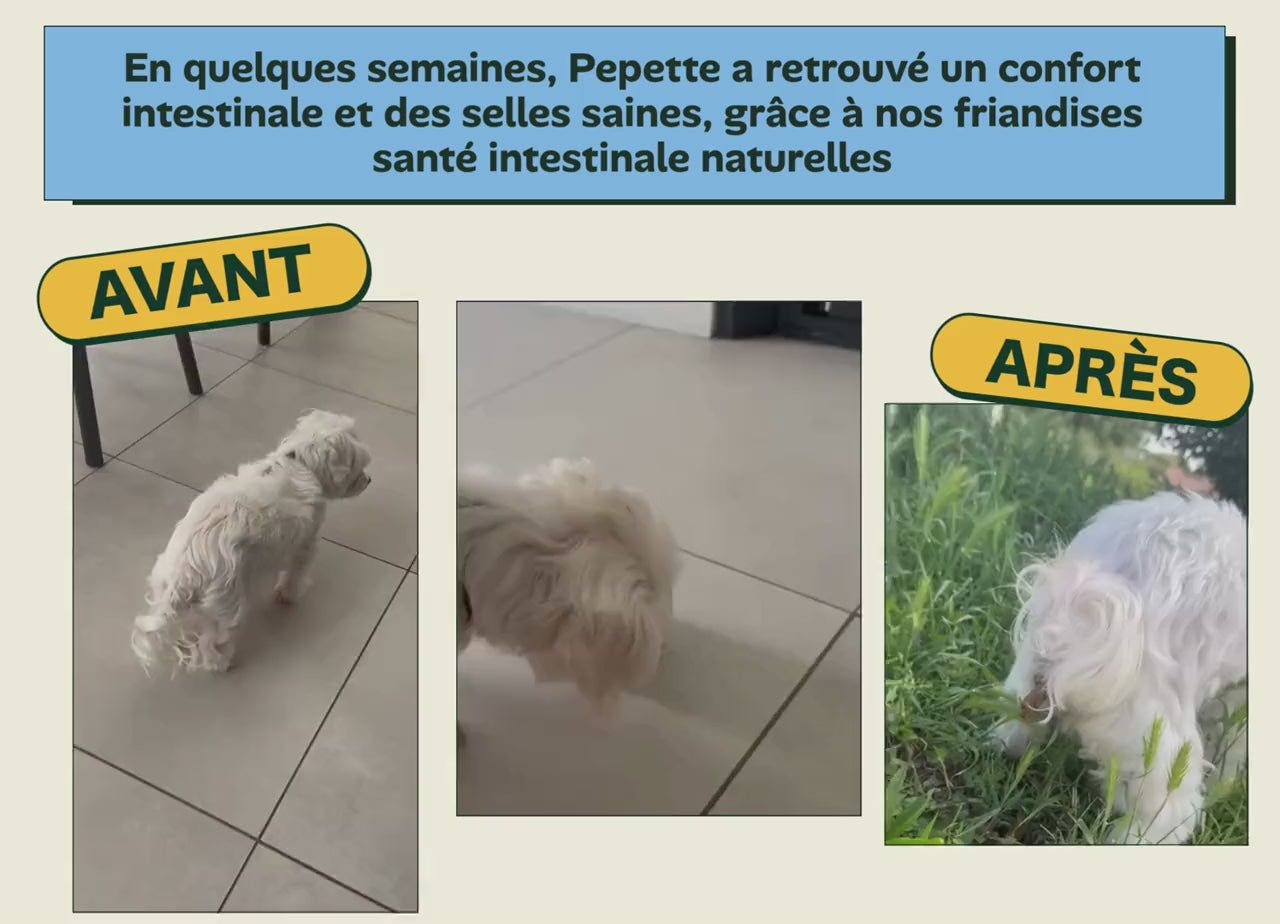 Avant/apres Pepette - confort intestinal (sante intestinale)
