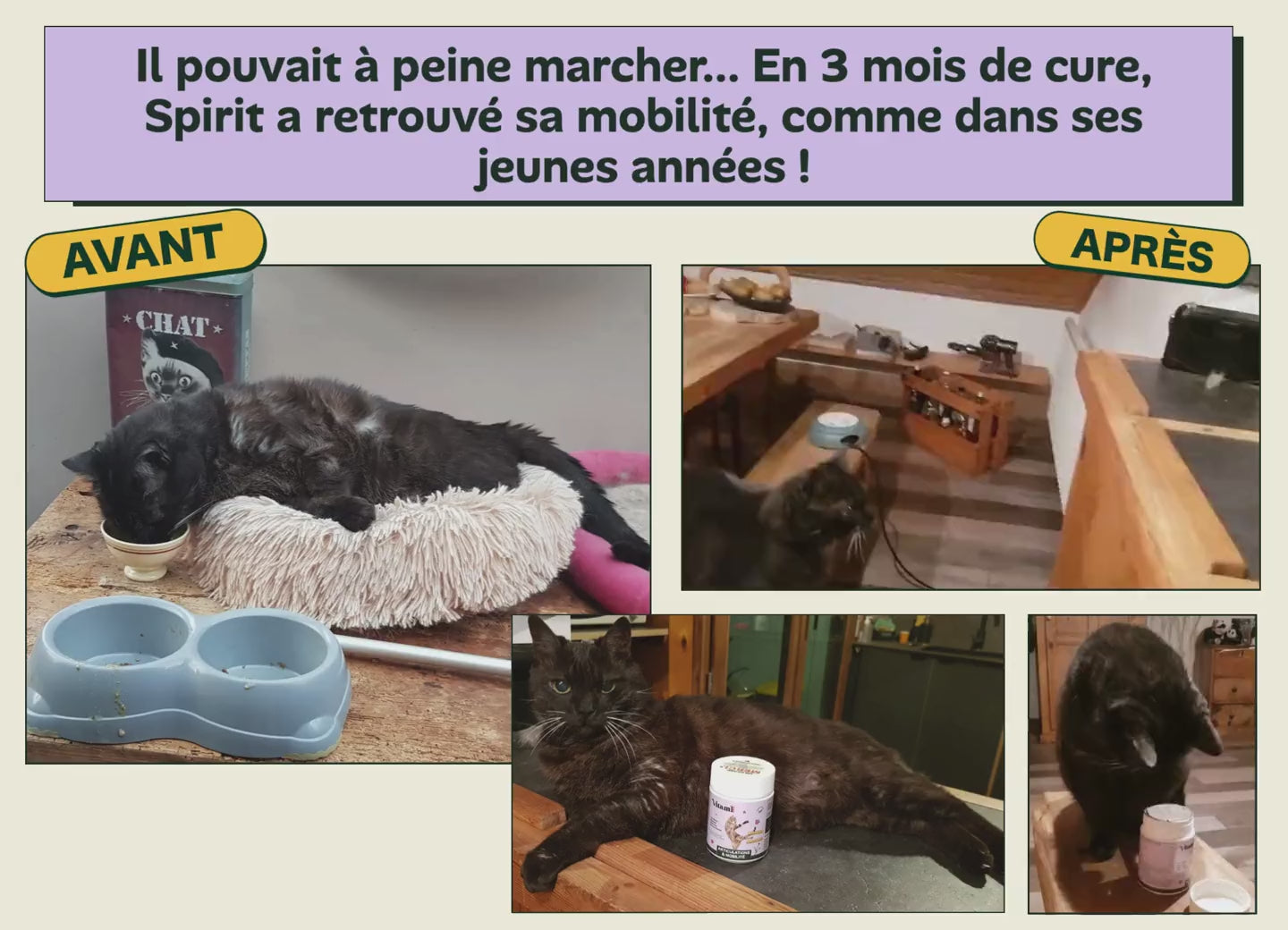 Avant/apres - mobilite retrouvee (articulation chat)