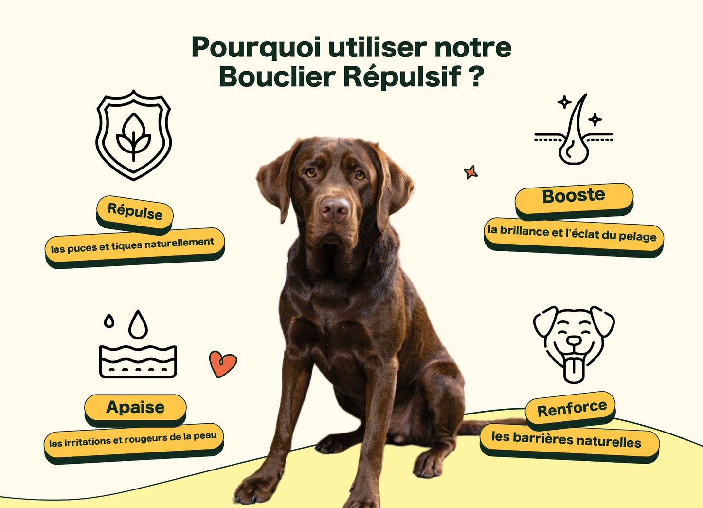 Friandises Naturelles Puces & Tiques