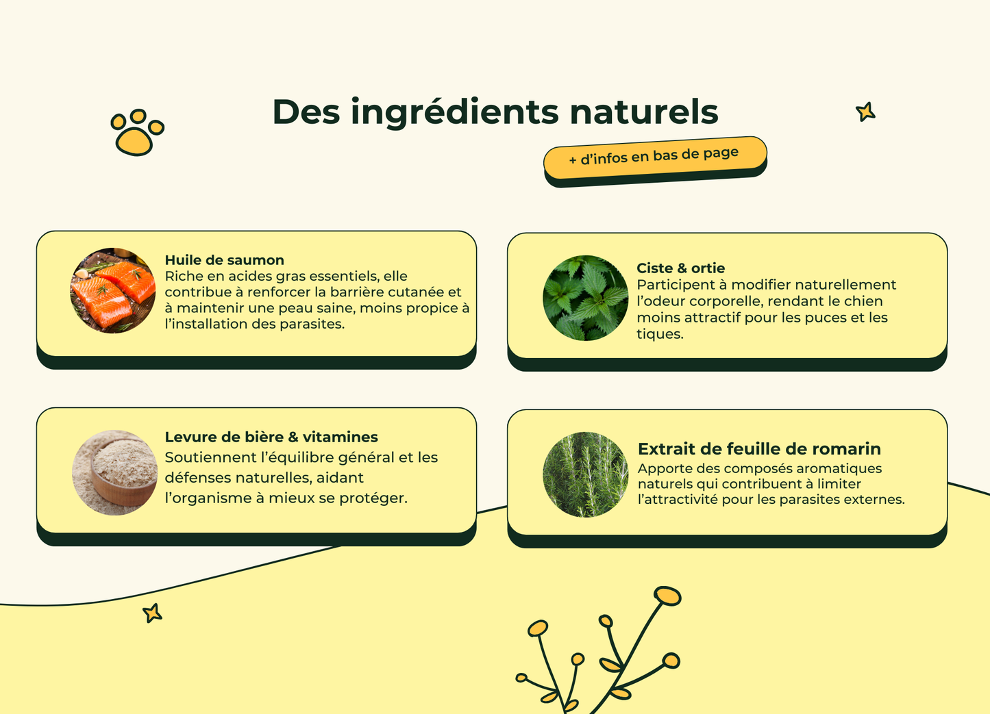 Friandises Naturelles Puces & Tiques