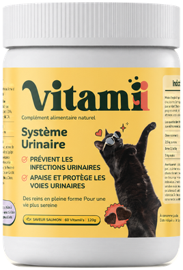 Système urinaire