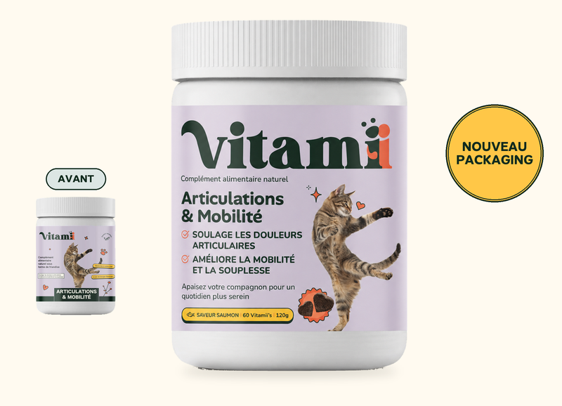 Friandises Naturelles Articulation Chat